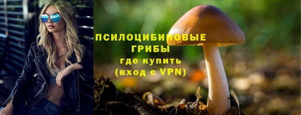 прущие грибы Алексеевка