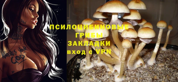 сатива Алексин