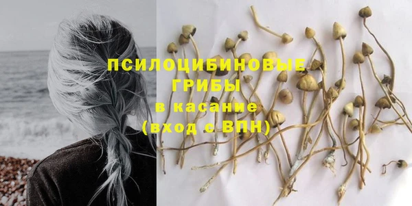 прущие грибы Алексеевка
