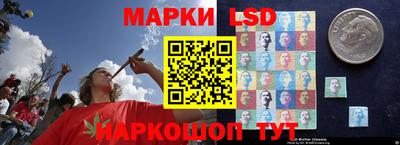 гидропоника Краснокаменск