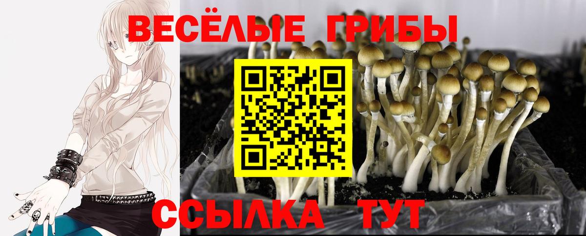 Галлюциногенные грибы Magic Shrooms  Галлюциногенные грибы GOLDEN TEACHER  Вход с VPN  Южно-Сахалинск 